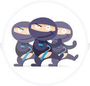 Organization Ninjas